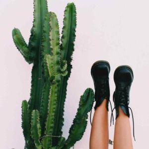 Meet your Posher, Kylie